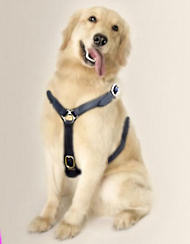 Luxury handcrafted leather dog harness made To Fit Labrador